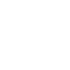 The Fearless Artist